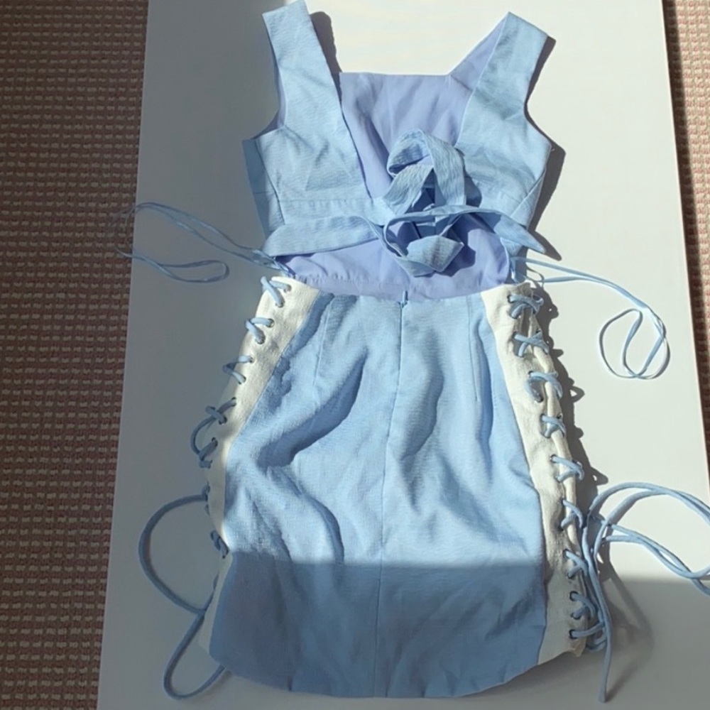 ENDLESS ROSE DRESS - Picture 6 of 8